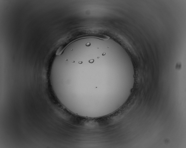 X0000102820258200809081138