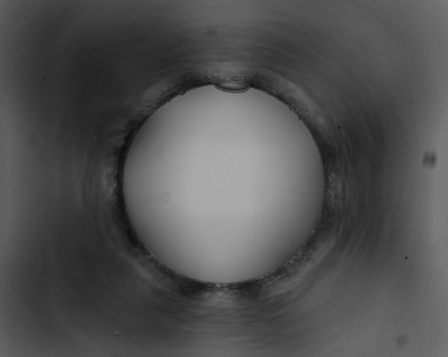 X0000102820259200809081138