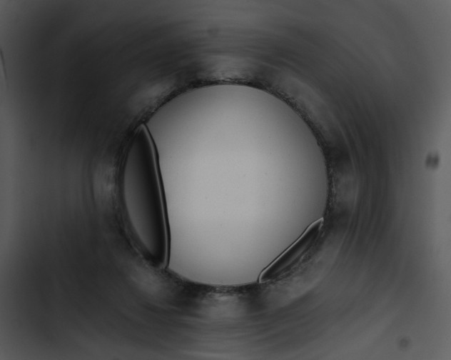 X0000102820260200809081138