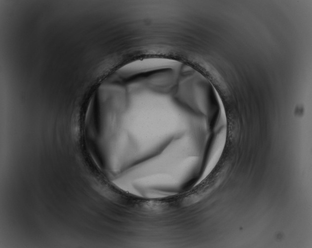 X0000102820261200809081138