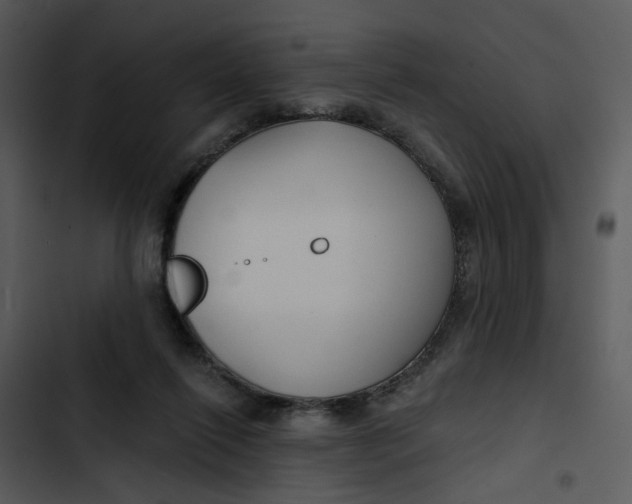 X0000102820262200809081138