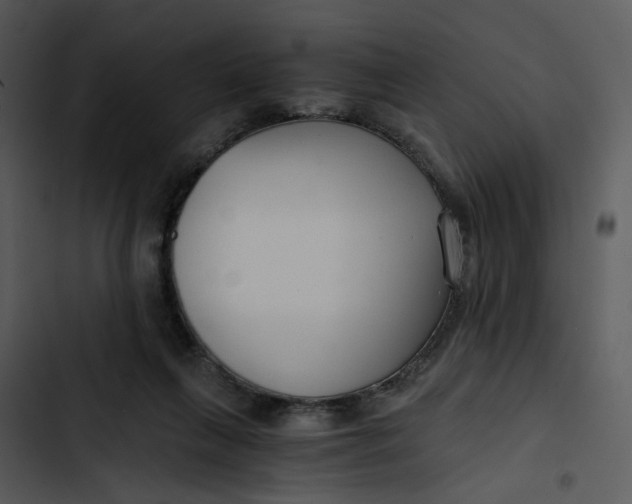 X0000102820263200809081138