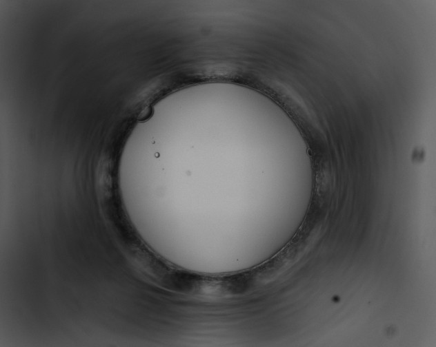 X0000102820264200809081138