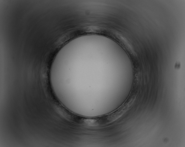 X0000102820265200809081138