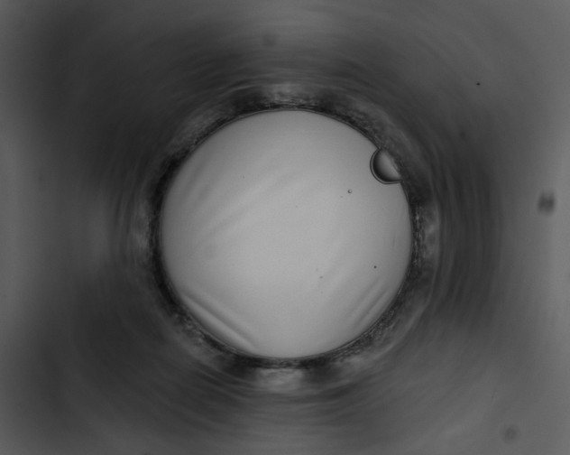 X0000102820266200809081138