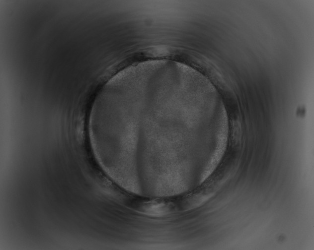 X0000102820267200809081138