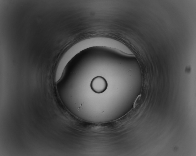 X0000102820268200809081138