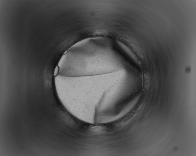 X0000102820269200809081138