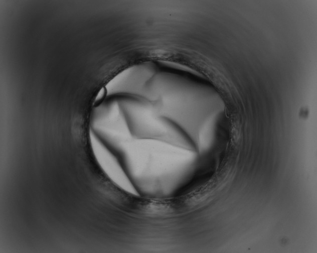 X0000102820270200809081138