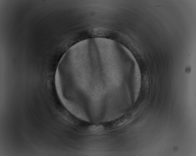 X0000102820271200809081138