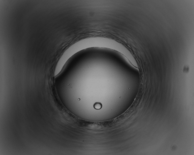 X0000102820272200809081138