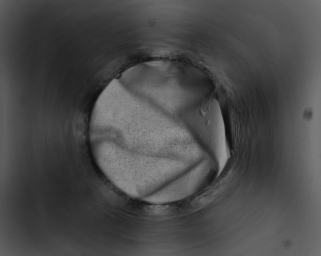 X0000102820273200809081138