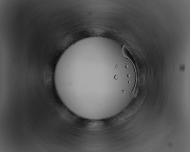 X0000102820274200809081138