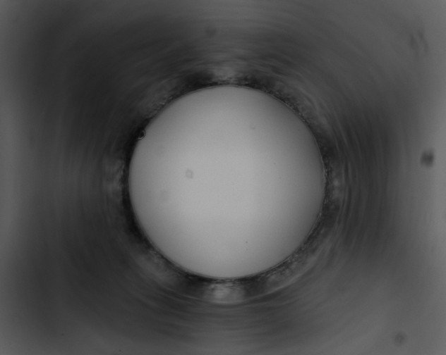 X0000102820275200809081138