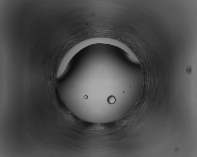 X0000102820276200809081138