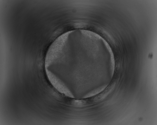 X0000102820277200809081138