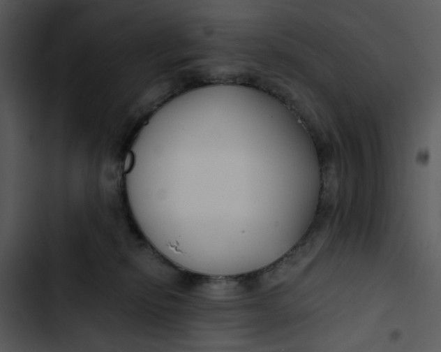 X0000102820278200809081138