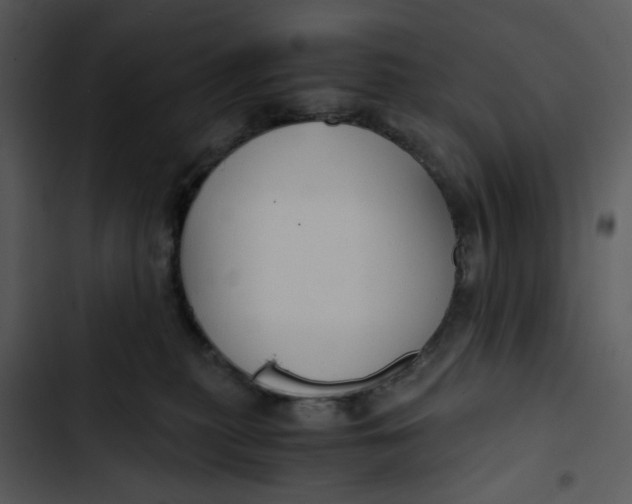 X0000102820279200809081138