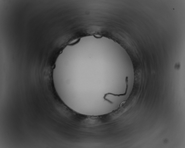 X0000102820280200809081138