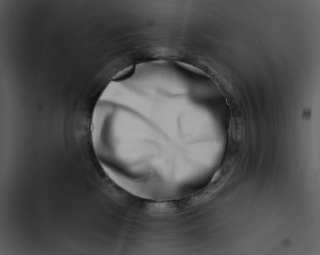 X0000102820281200809081138