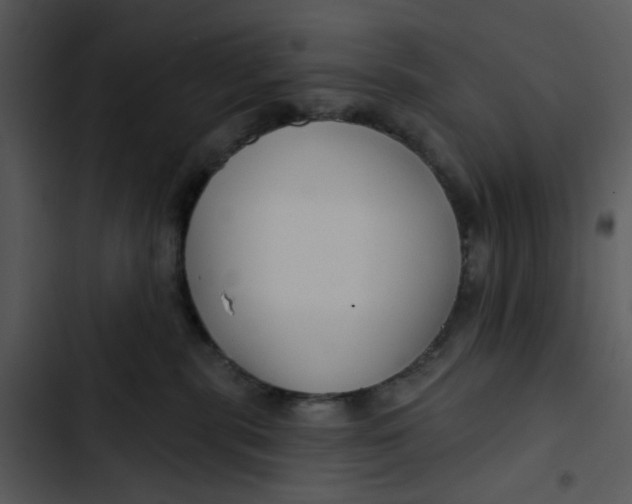 X0000102820283200809081138