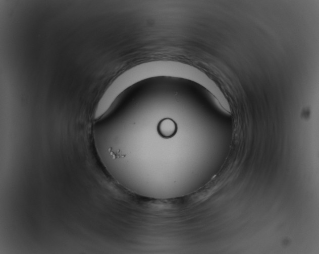 X0000102820284200809081138