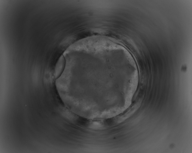 X0000102820285200809081138