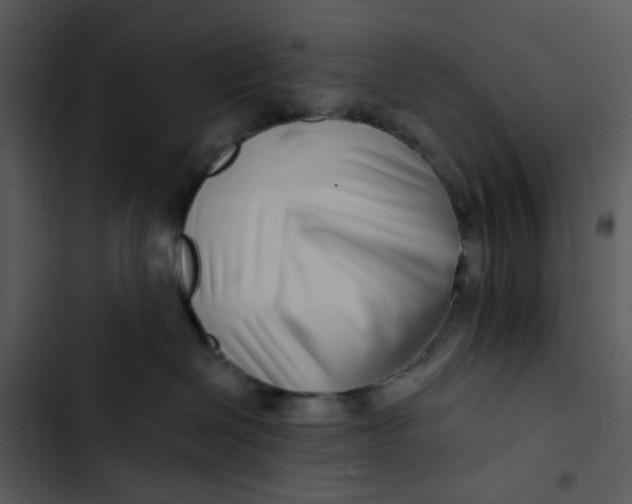 X0000102820286200809081138