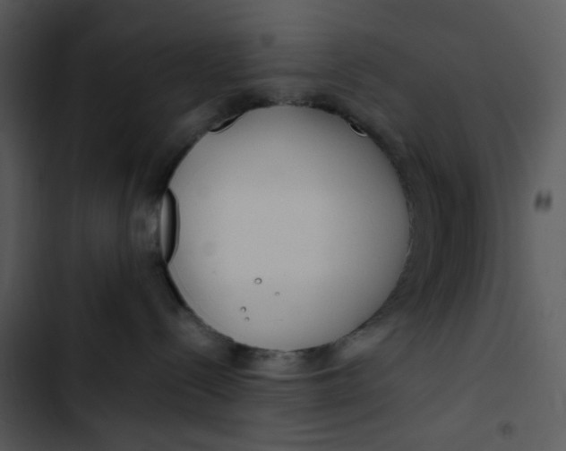 X0000102820288200809081138