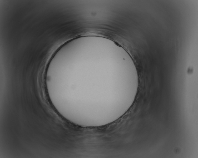 X0000102820289200809081138