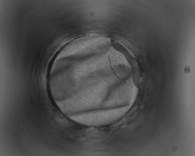 X0000102820290200809081138