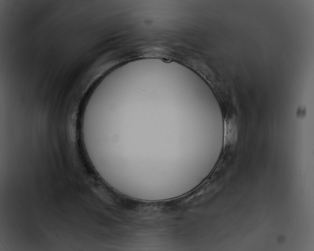 X0000102820291200809081138