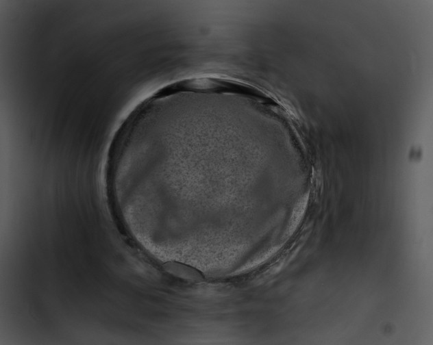 X0000102820292200809081137