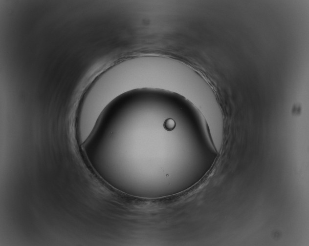 X0000102820293200809081137