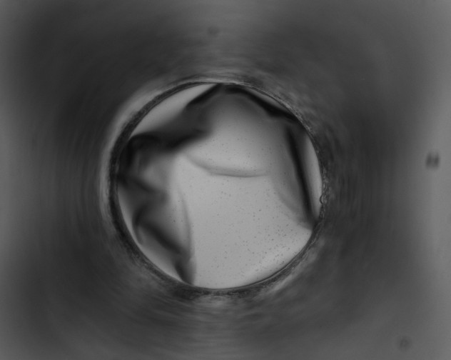 X0000102820294200809081137