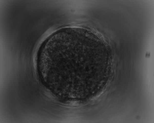 X0000102820295200809081137