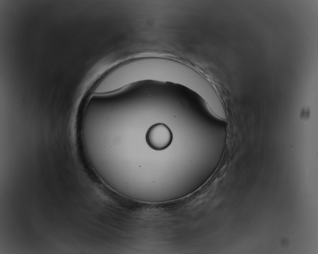 X0000102820296200809081137