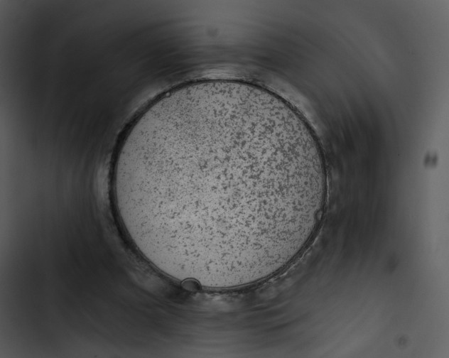 X0000102820297200809081137