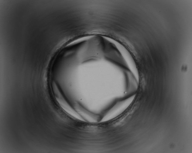 X0000102820298200809081137