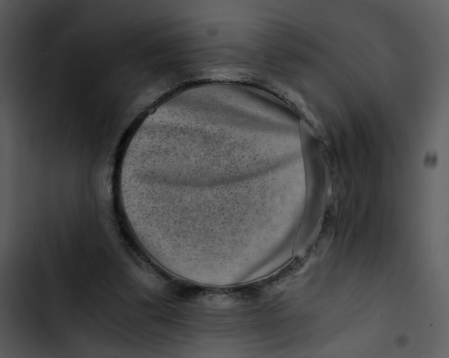 X0000102820299200809081137