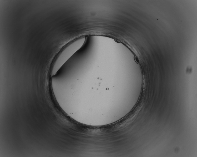 X0000102820301200809081137