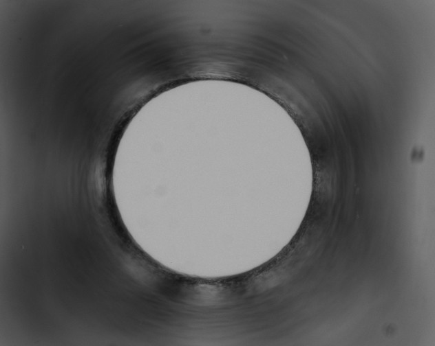 X0000102820302200809081137