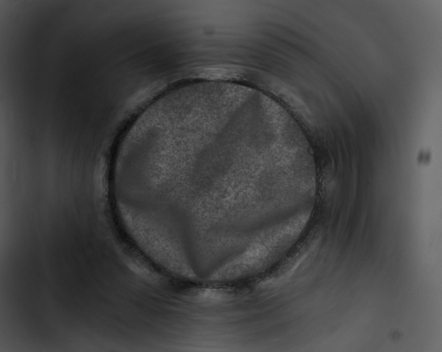 X0000102820303200809081137