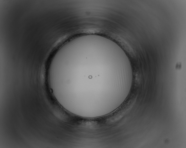 X0000102820304200809081137