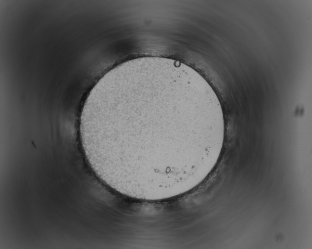 X0000102820305200809081137