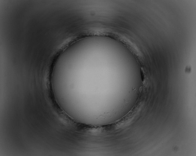 X0000102820306200809081137