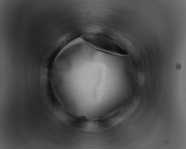 X0000102820308200809081137