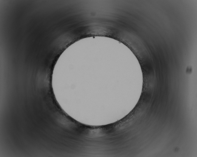 X0000102820309200809081137