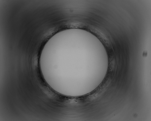 X0000102820310200809081137