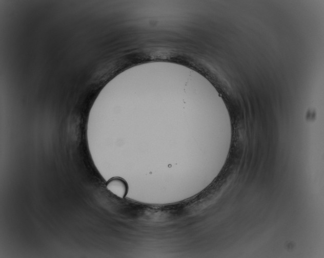 X0000102820311200809081137